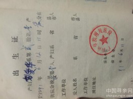 失踪人员：我要找我的母亲