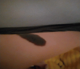 失踪人员：寻找母亲