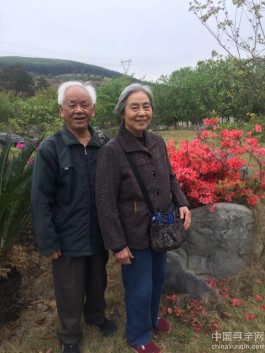 失踪人员：為父尋親